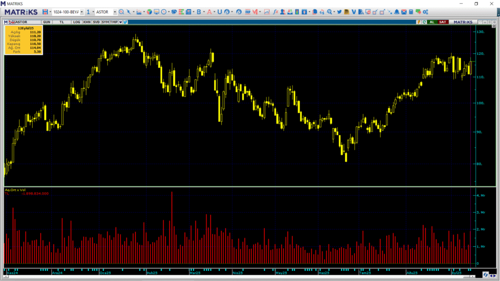 Astor Enerji (ASTOR) hisselerinde 2 kurum üzerinden yüklü alım yapıldı | Rota Borsa