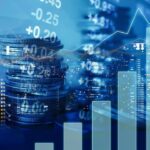 sermaye-temettü giriş