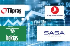 yatırımcı sayısı