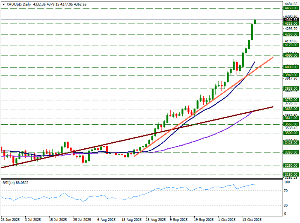 | Rota Borsa
