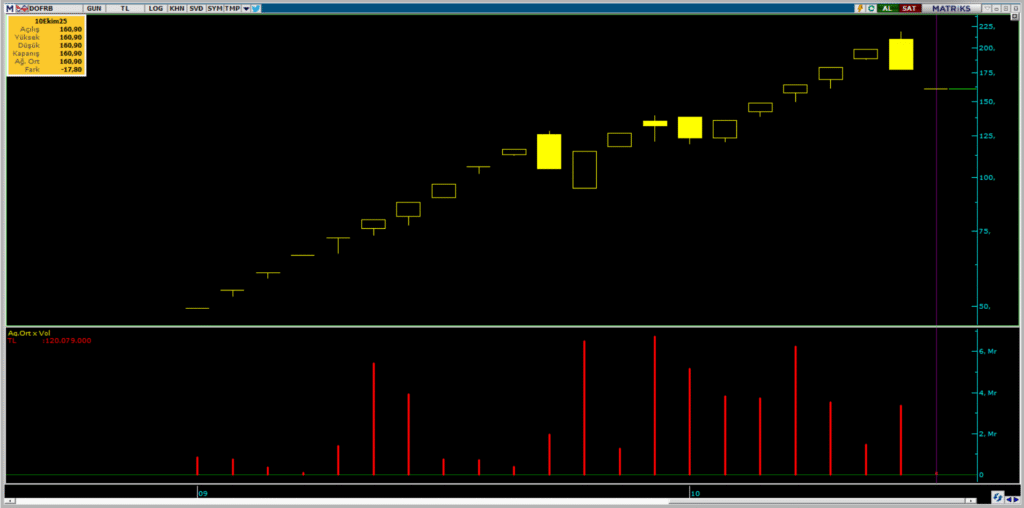 BofA, Dof Robotik (DOFRB) hisselerinde yüklü satış yaptı | Rota Borsa