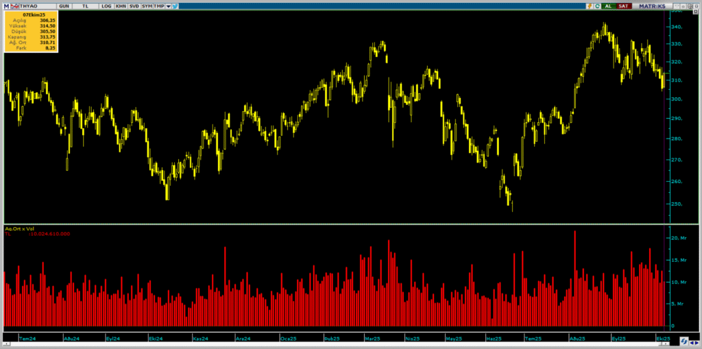 BofA'dan Türk Hava Yolları (THY) hisselerinde dev alım | Rota Borsa