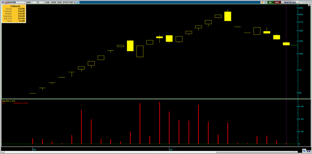 BofA'dan Dof Robotik (DOFRB) hisselerinde yüklü satış | Rota Borsa