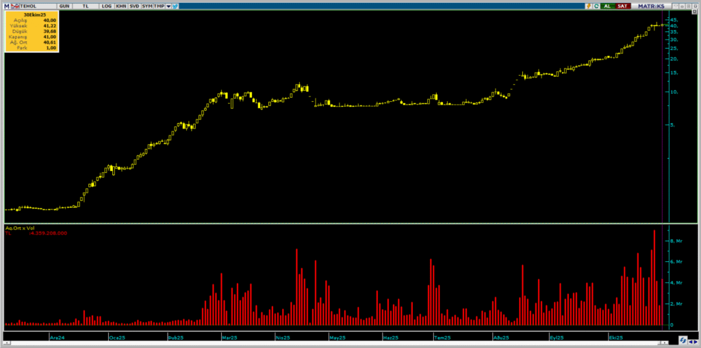 TEHOL hisselerinde Tera Yatırım üzerinden yüklü alım yapıldı | Rota Borsa