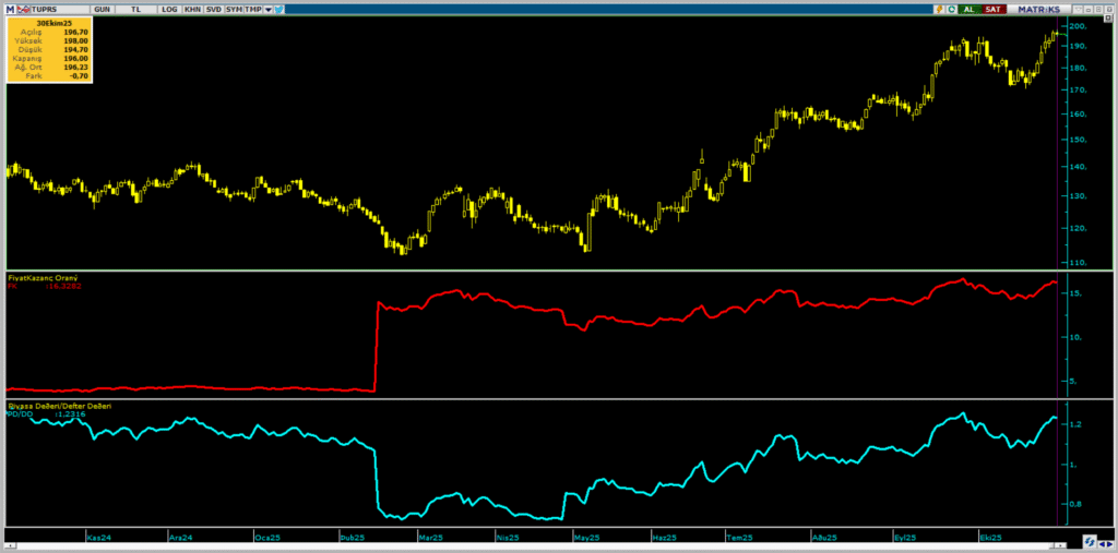 Tüpraş (TUPRS) hisseleri için 16 farklı hedef fiyat ve teknik analiz | Rota Borsa