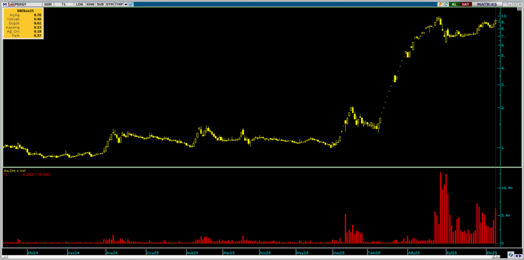 BofA, Peker GYO (PEKGY) hisselerinde yüklü alım yaptı | Rota Borsa