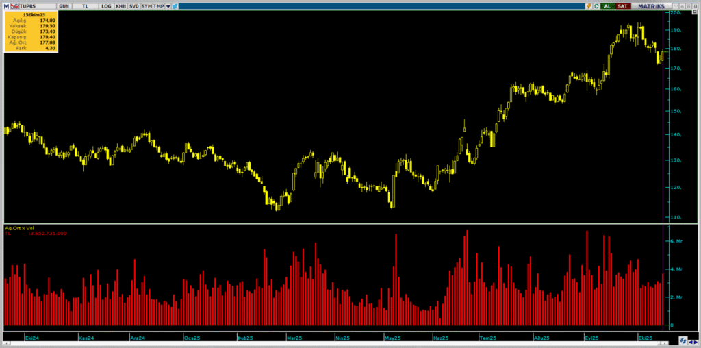 Tüpraş (TUPRS) hisselerinde BofA'dan yüklü alım | Rota Borsa