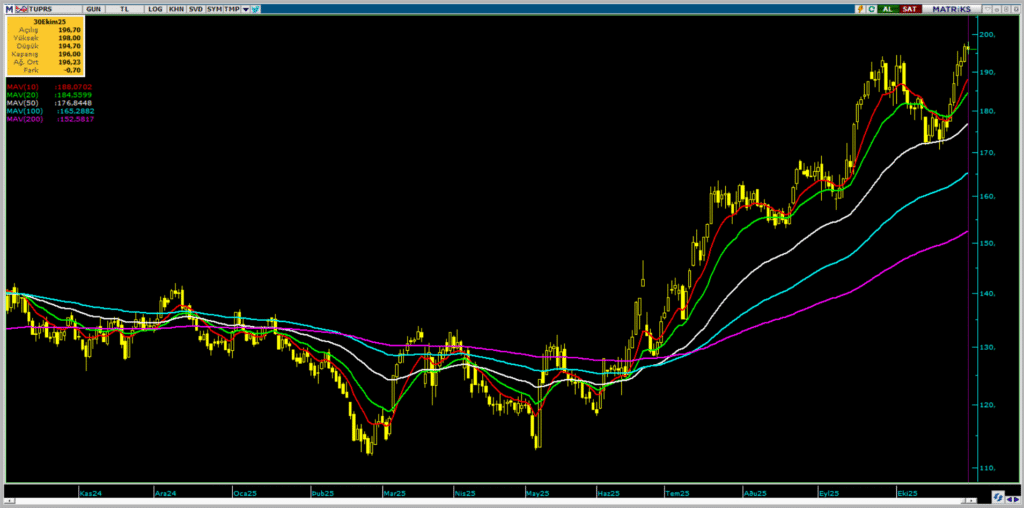 Tüpraş (TUPRS) hisseleri için 16 farklı hedef fiyat ve teknik analiz | Rota Borsa