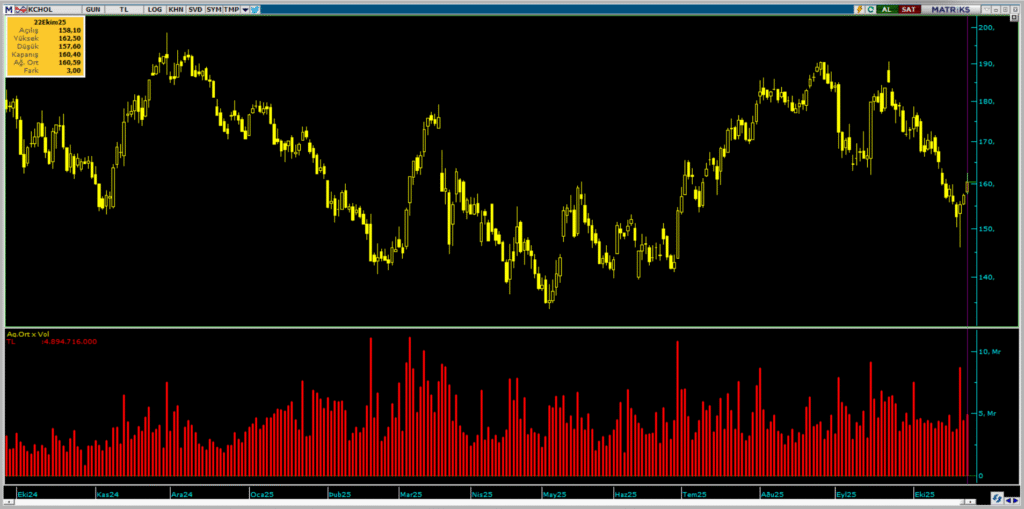 BofA, Koç Holding (KCHOL) hisselerinde yüklü alım yaptı | Rota Borsa