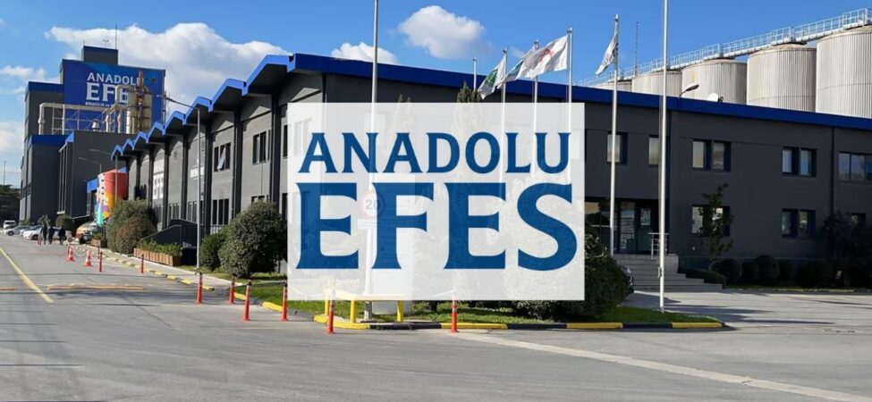 aefes (2)