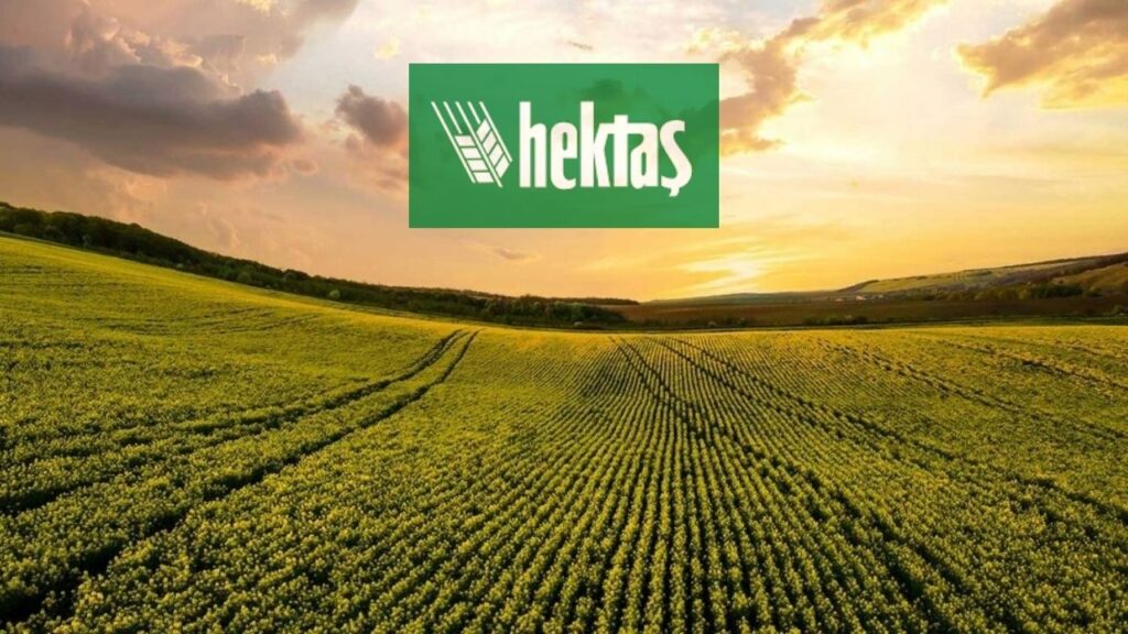 Aracı kurumlar 45 hisse için hedef fiyat belirledi | Rota Borsa