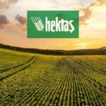 hekts
