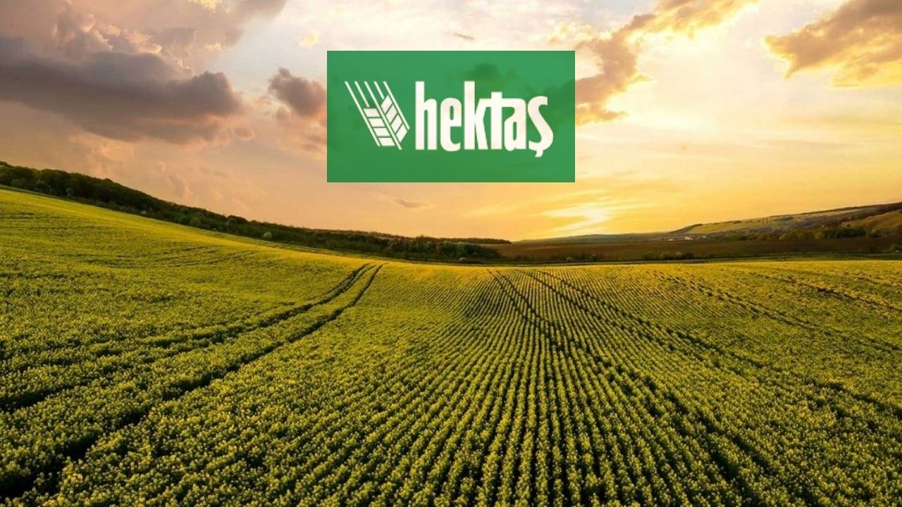 Citibank'ın en fazla aldığı 10 hisse | Rota Borsa Citibank'ın en fazla aldığı 10 hisse | Rota Borsa