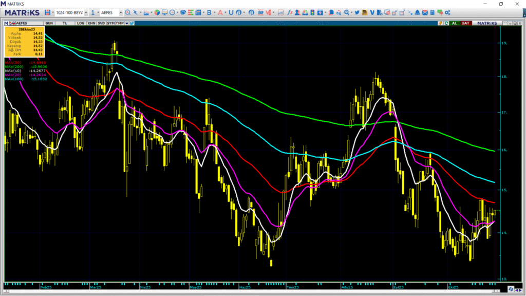 Anadolu Efes (AEFES) hisseleri için 4 farklı hedef fiyat ve teknik analiz | Rota Borsa