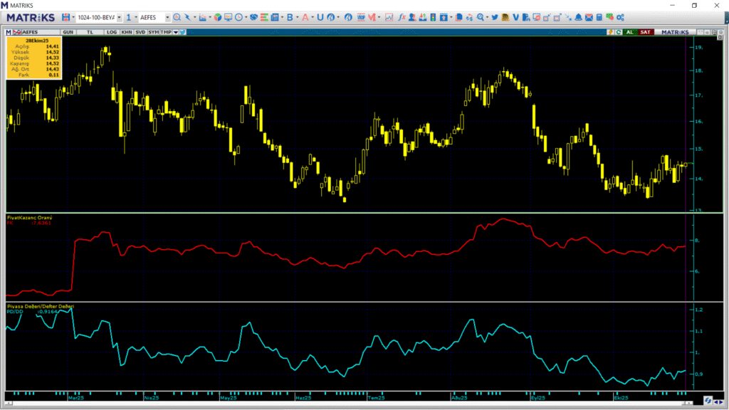 Anadolu Efes (AEFES) hisseleri için 4 farklı hedef fiyat ve teknik analiz | Rota Borsa