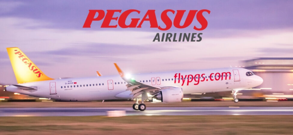 pgsus (2)