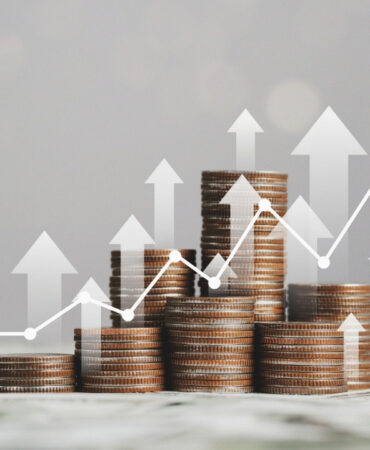 hareket sermaye temettü (20) kazandıran giriş