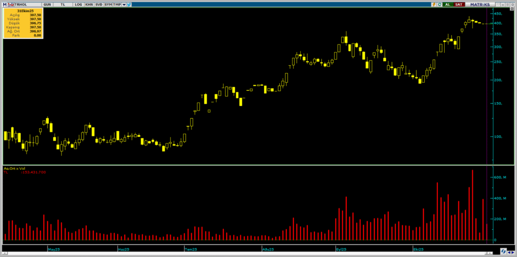 TRHOL hisselerinde Tera Yatırım üzerinden yüklü alım yapıldı | Rota Borsa