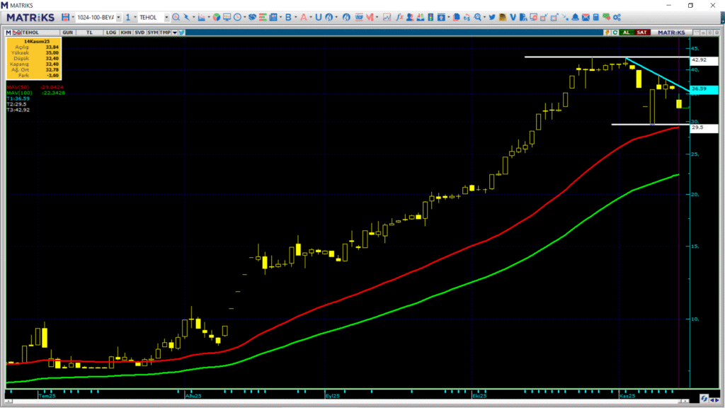 Tera Yatırım Teknoloji Holding (TEHOL) hisse yorumu ve teknik analizi | Rota Borsa