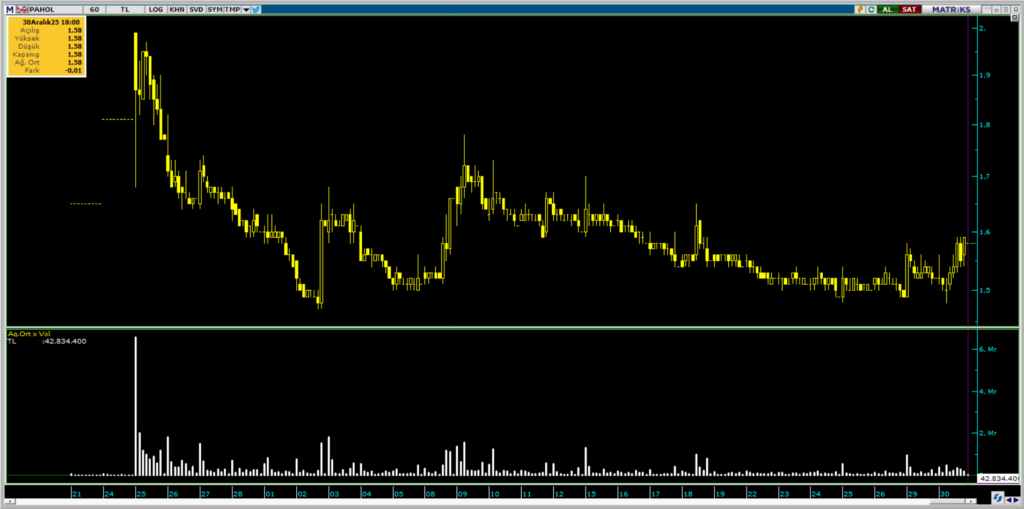 Pasifik Holding (PAHOL) hisselerinde 2 kurum üzerinden yüklü alım | Rota Borsa
