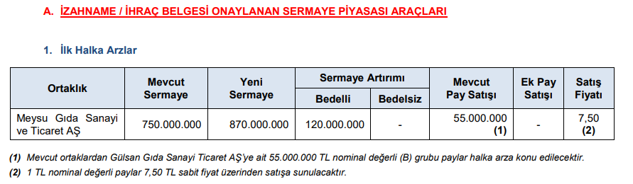 SPK bir şirketin halka arzına onay verdi | Rota Borsa