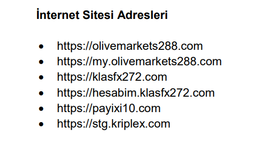 SPK’dan 11 internet sitesi için erişim engeli talebi | Rota Borsa