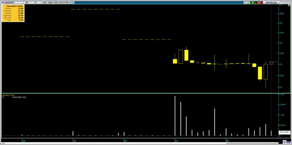 Zeray GYO (ZERGY) hisselerinde İnfo Yatırım üzerinden yüklü alım | Rota Borsa
