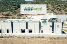 arfye 1
