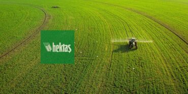 hekts (2)