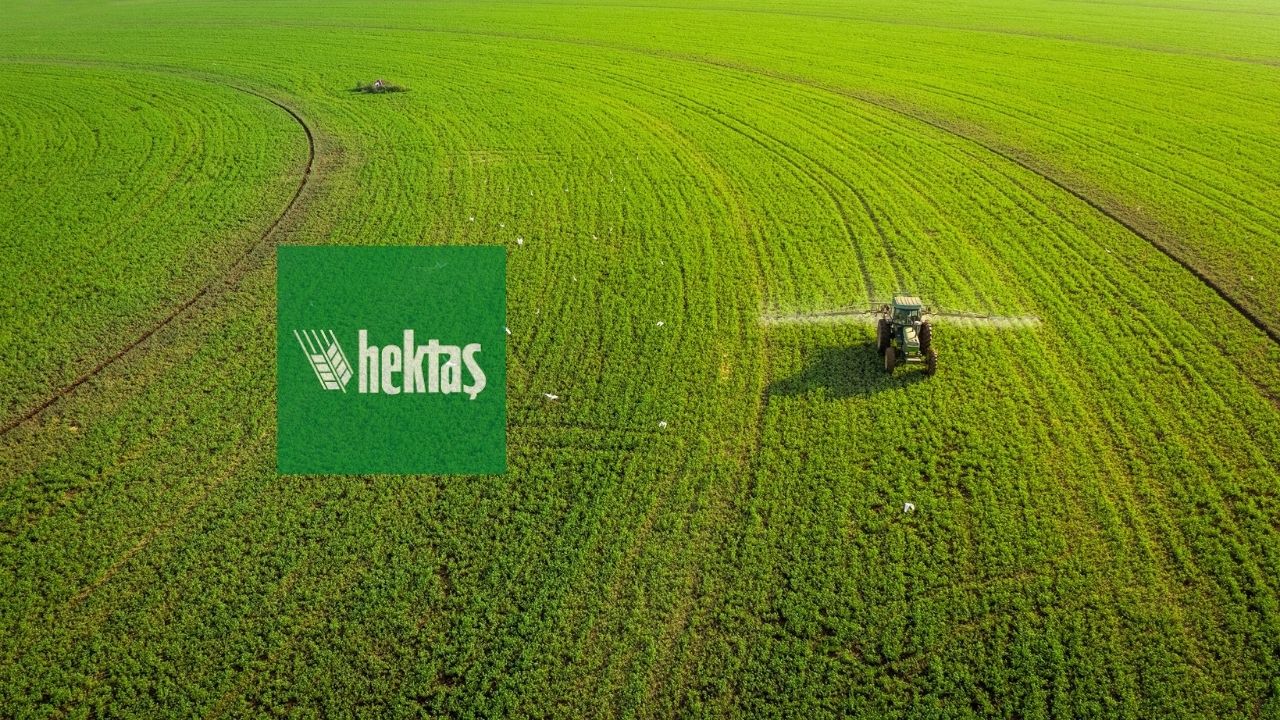 Hektaş (HEKTS) 2025 4. çeyrek bilanço değerlendirmesi | Rota Borsa