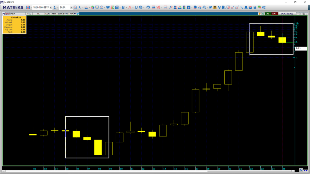 Sasa Polyester (SASA) hisselerinde 17 yıl sonra bir ilk | Rota Borsa