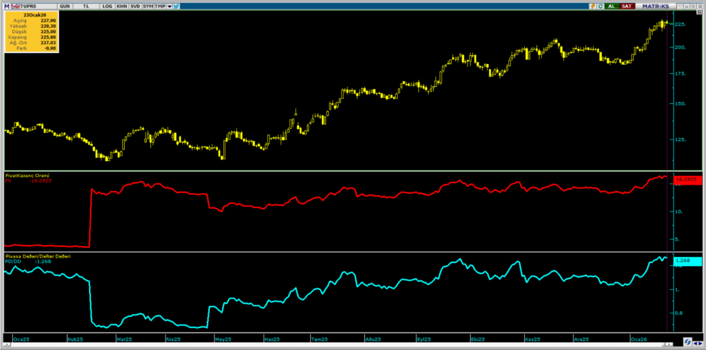 Tüpraş (TUPRS) hisseleri için 14 hedef fiyat ve teknik analiz | Rota Borsa