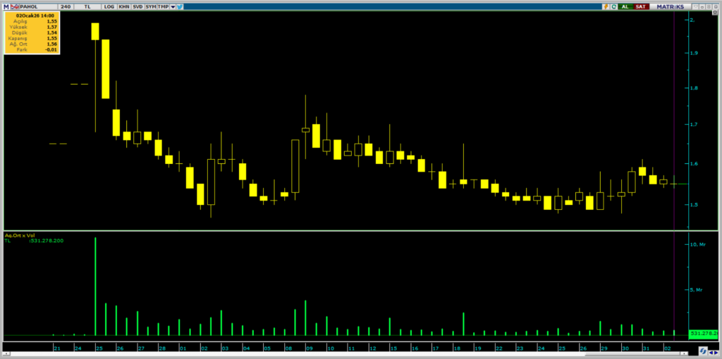 Pasifik Holding (PAHOL) hisselerinde OYAK Yatırım üzerinden yüklü alım | Rota Borsa
