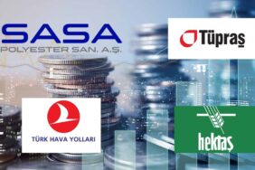 yatırımcı sayısı (2)