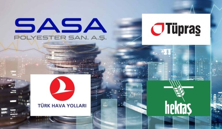 yatırımcı sayısı (2)