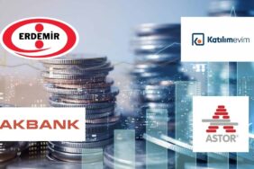 24 ş giriş
