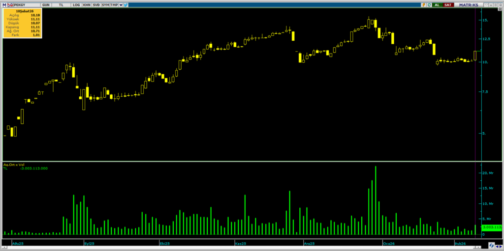 Peker GYO (PEKGY) hisselerinde Tera Yatırım'dan yüklü alım | Rota Borsa