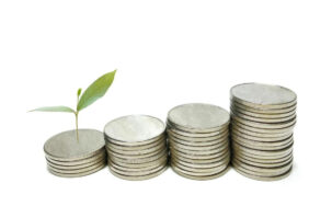 sermaye (19) temettü emeklilik yatırım fon