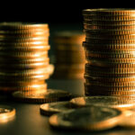 sermaye (21) temettü giriş çıkış piyasa yatırım emeklilik fon