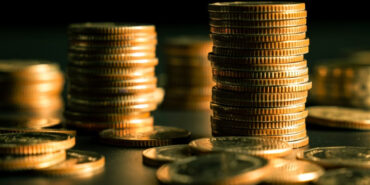 sermaye (21) temettü giriş çıkış piyasa yatırım emeklilik fon