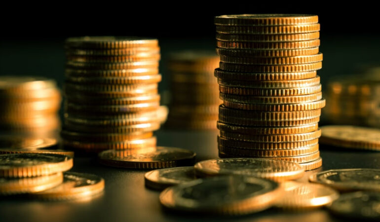 sermaye (21) temettü giriş çıkış piyasa yatırım emeklilik fon