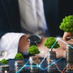 sermaye temettü (26) yatırım fonları