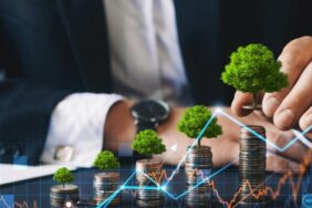 sermaye temettü (26) yatırım fonları