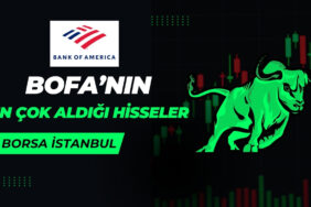 bofa hangi hisseleri alıyor