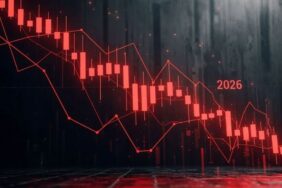 zirve dibine 2026