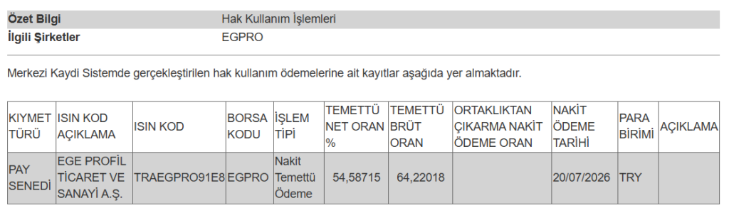 Bir şirketin temettü ödemesi hesaplara yattı | Rota Borsa