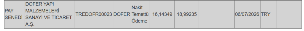 Bir şirketin temettü ödemesi hesaplara yattı | Rota Borsa
