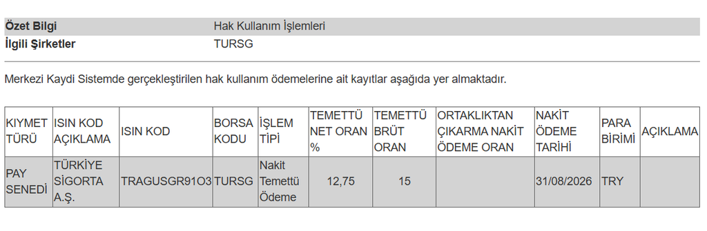 Bir şirketin temettü ödemesi hesaplara yattı | Rota Borsa