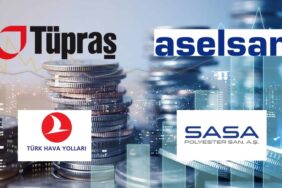 yatırımcı sayısı (3)